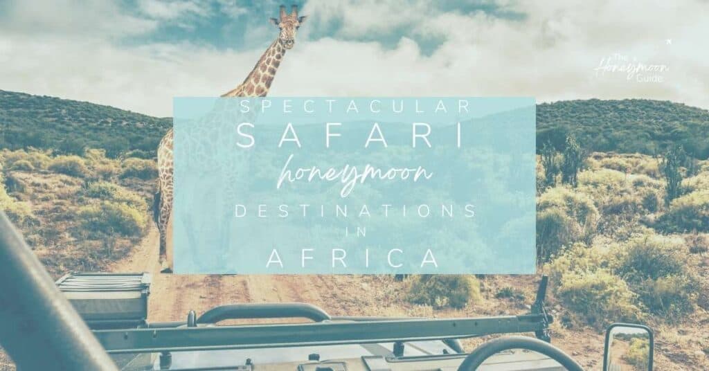 Spectacular honeymoon safari destinations in Africa | The Honeymoon Guide
