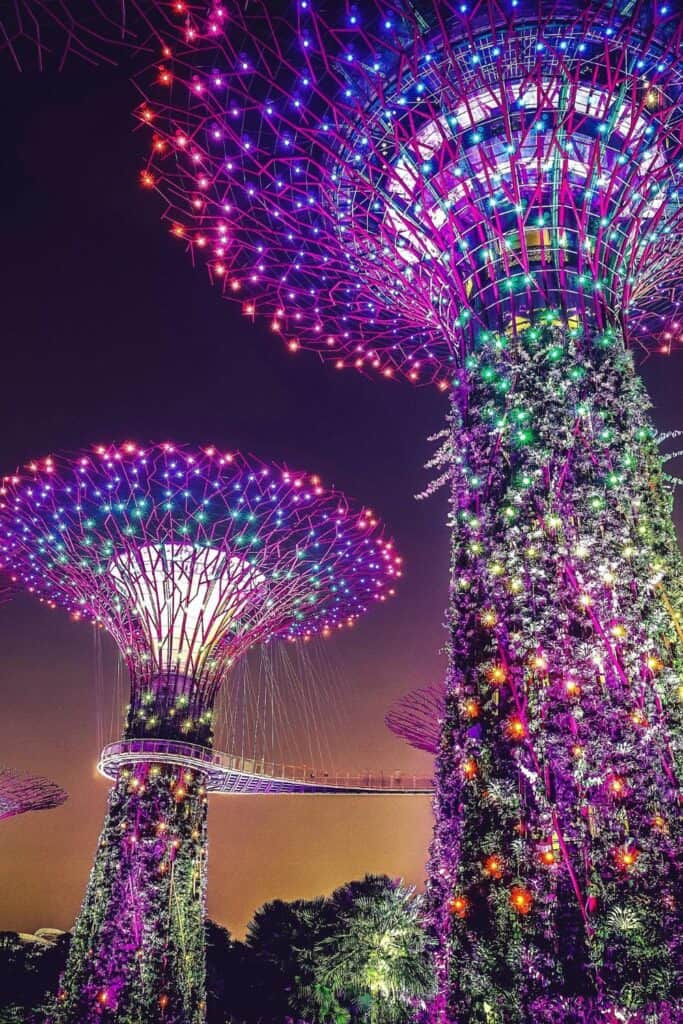 2 lighted tree shapes sculptures in the Gardens by the Bay tourist attraction in Singapore with purple and green lights against a dark sky