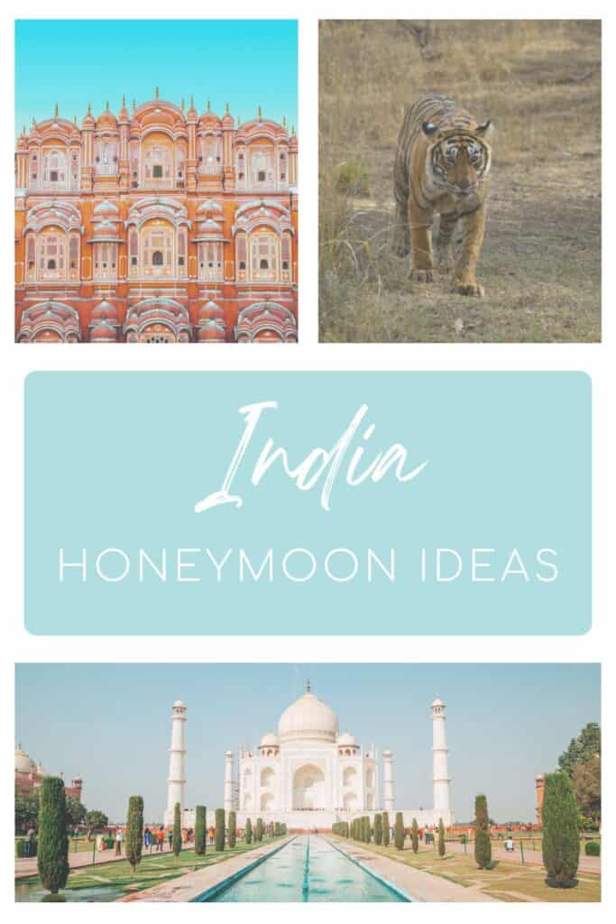 This layout showcases the colorful details of Jaipur’s Hawa Mahal, a majestic tiger roaming through a forest clearing, a pastel blue banner reading “India Honeymoon Ideas,” and a symmetrical view of the Taj Mahal with its reflecting pool and manicured gardens.