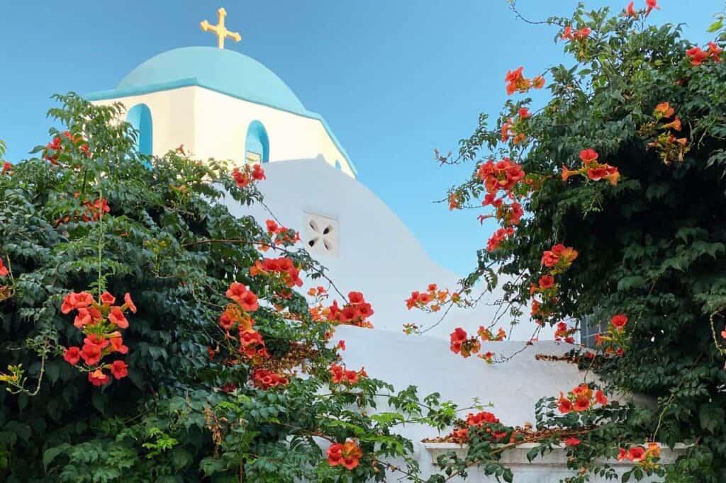 Traditional white Greek chapel with a blue dome and cross, partially obscured by vibrant orange flowering vines, set against a clear blue sky on Paros Island, Greece. The colorful flowers add a lively contrast to the serene architecture.