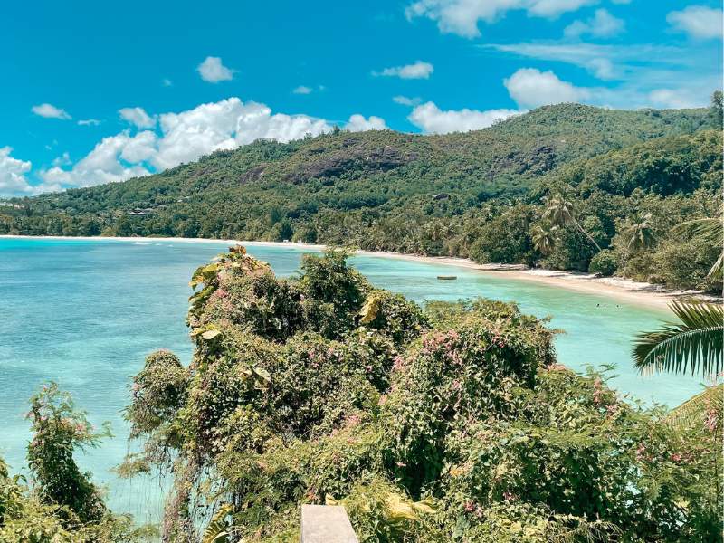 Bay with rainforest and tropical beach Seychelles Honeymoon Road Trip