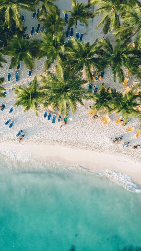 Aerial view of a Dominican Republic beach perfect for a honeymoon, with lush palm trees, soft white sand, and rows of yellow and blue lounge chairs. The clear turquoise water adds a romantic, tropical vibe ideal for a couple’s getaway.