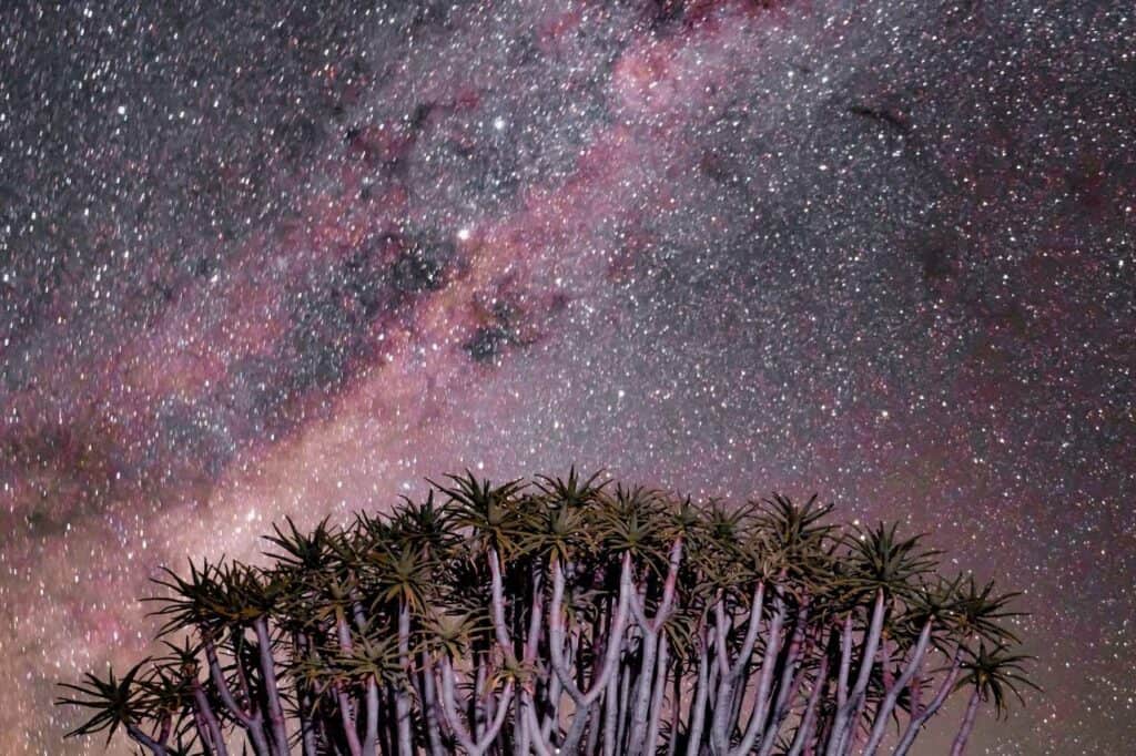 namibia stargazing honeymoon