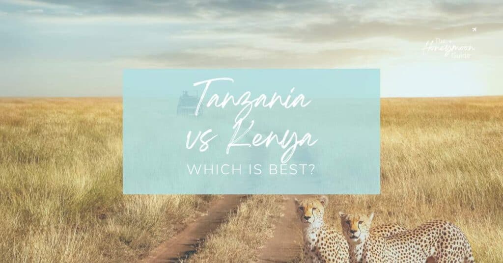 Tanzania vs Kenya for honeymoon - which is best | The Honeymoon Guide